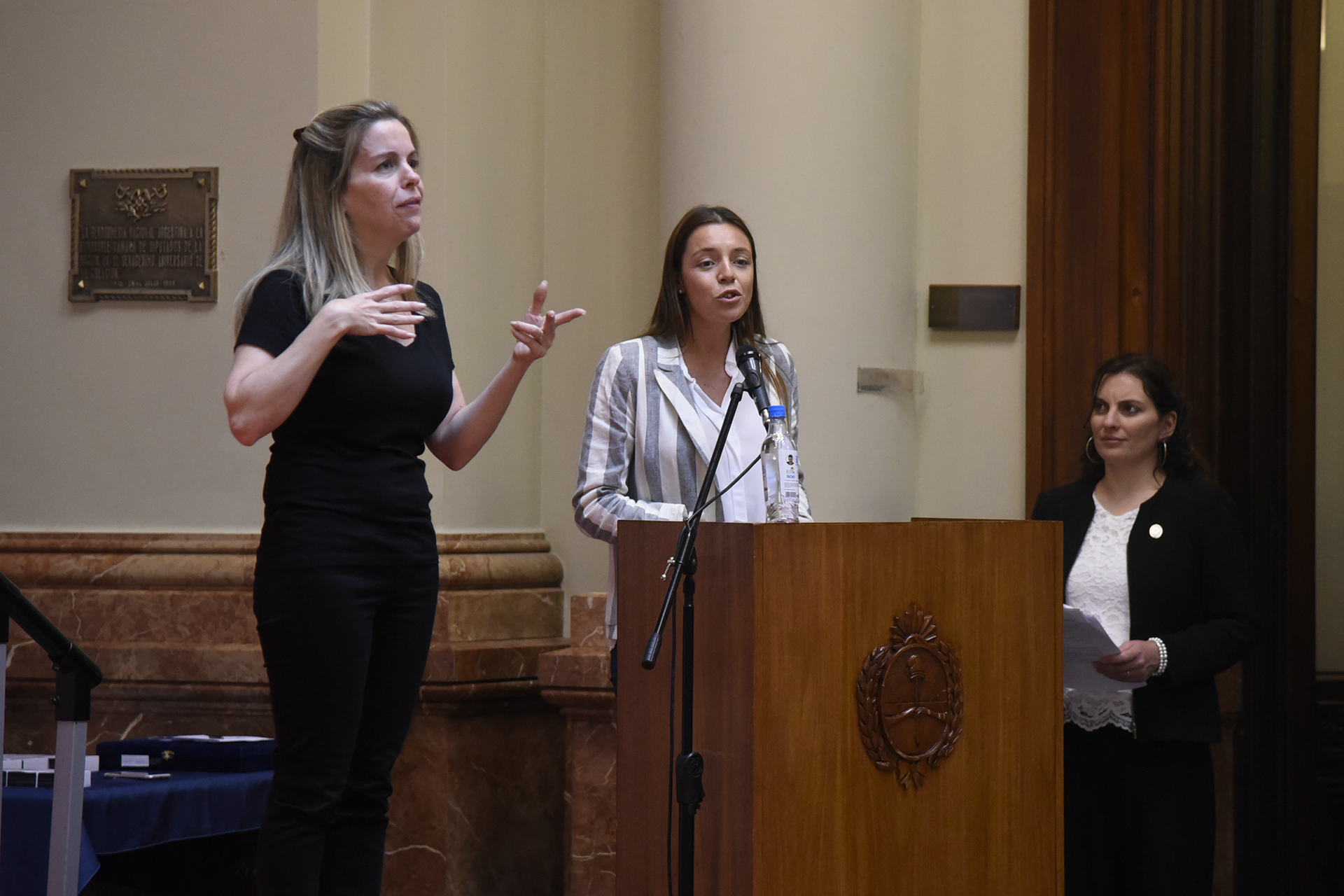 Galeria de imagenes de la noticia DERRIBANDO BARRERAS: EMOTIVO HOMENAJE A ATLETAS DEL DESAFÍO SUMMIT ACONCAGUA 2018